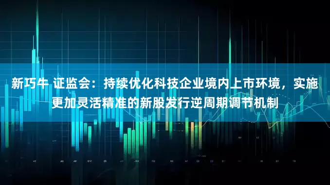 新巧牛 证监会：持续优化科技企业境内上市环境，实施更加灵活精准的新股发行逆周期调节机制