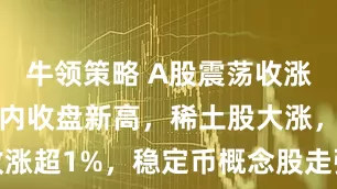 牛领策略 A股震荡收涨，沪指创年内收盘新高，稀土股大涨，港股收涨超1%，稳定币概念股走强，国债跌，商品涨