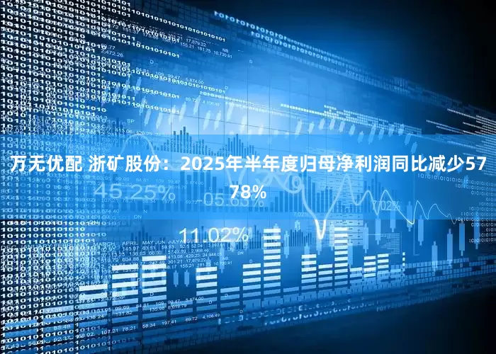 万无优配 浙矿股份：2025年半年度归母净利润同比减少5778%