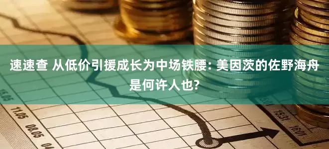 速速查 从低价引援成长为中场铁腰: 美因茨的佐野海舟是何许人也?